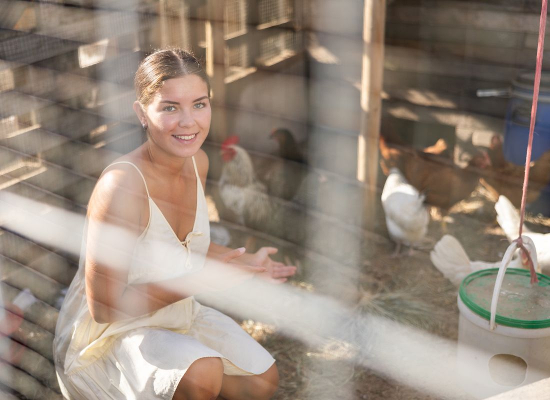 osoba čuči u kavezu za koke nosilje i hrani ih