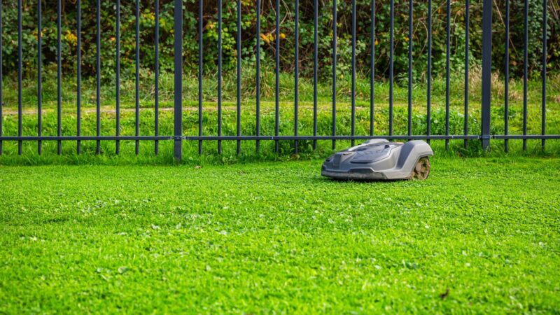 Robot kosilica kosi travu uz ogradu u uređenom dvorištu