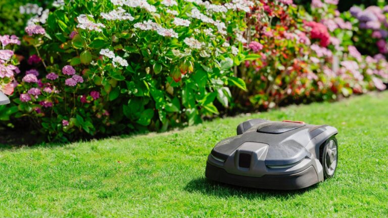 Robot kosilica kosi travu pored cvetne bašte u uređenom dvorištu